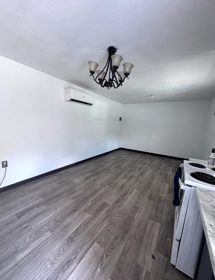 Sleek gray vinyl plank, matte paint, modern lighting upgrade — full space reset